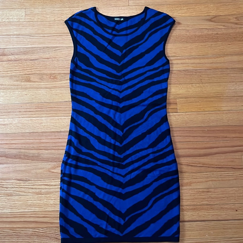Express sweater dress
